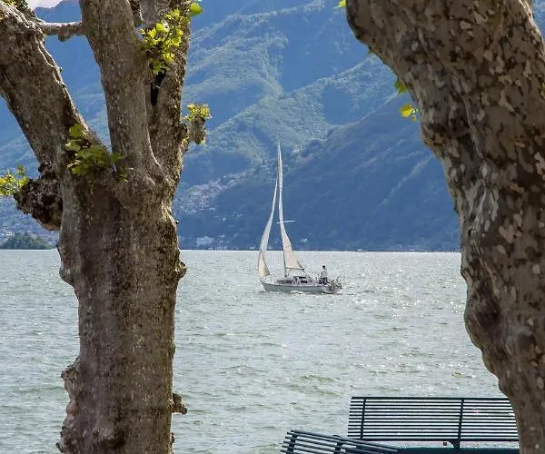 View In Vercana, Shared Pool *